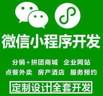 廊坊市小程序开发,app定制,系统开发,网站建设